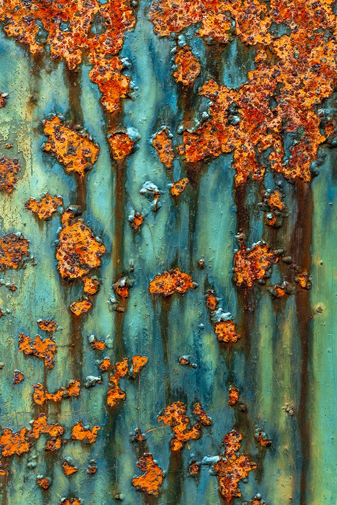 USA, Washington State, Port Townsend, Fort Worden State Park. Rusty metal on WWII gun battery.